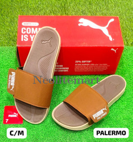 NM-Palermo/PM CRM (Box)