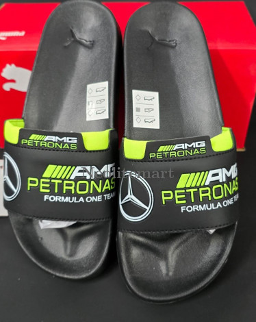 NM-Petronas/PM-05 (With Box) GREEN