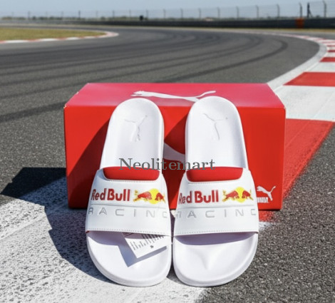 NM-PM/Redbull WT (With Box)